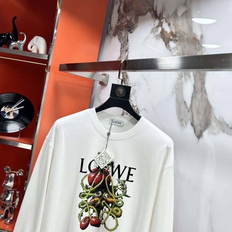 Loewe Hoodies